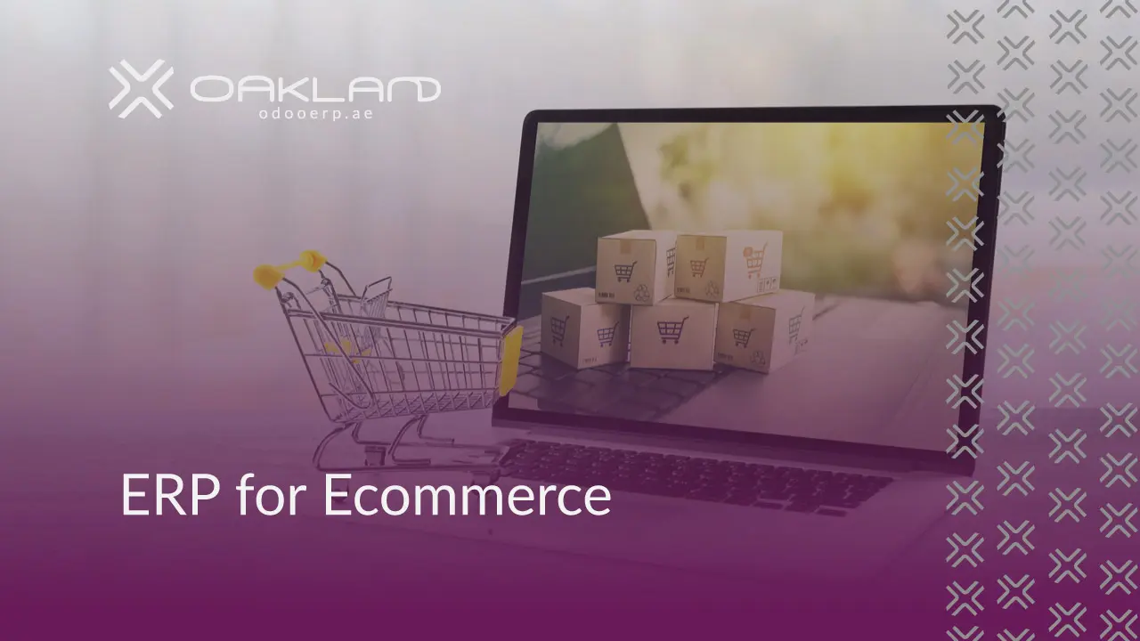 Why do you need an ERP for Ecommerce Business?